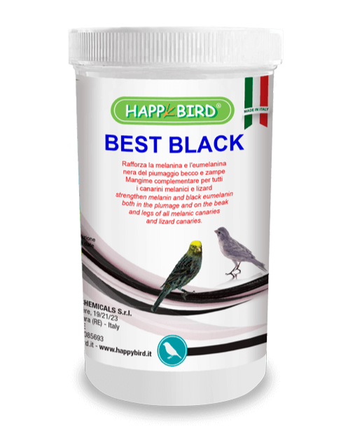 Happy Bird BEST BLACK