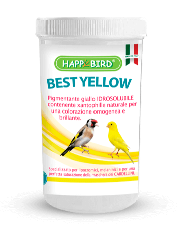Happy Bird BEST YELLOW